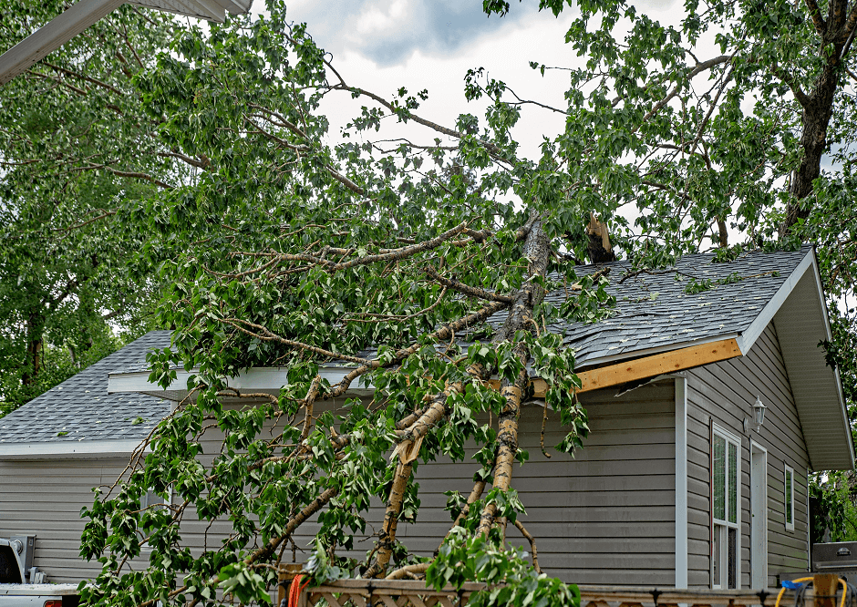 Storm Damage-Debris Damage