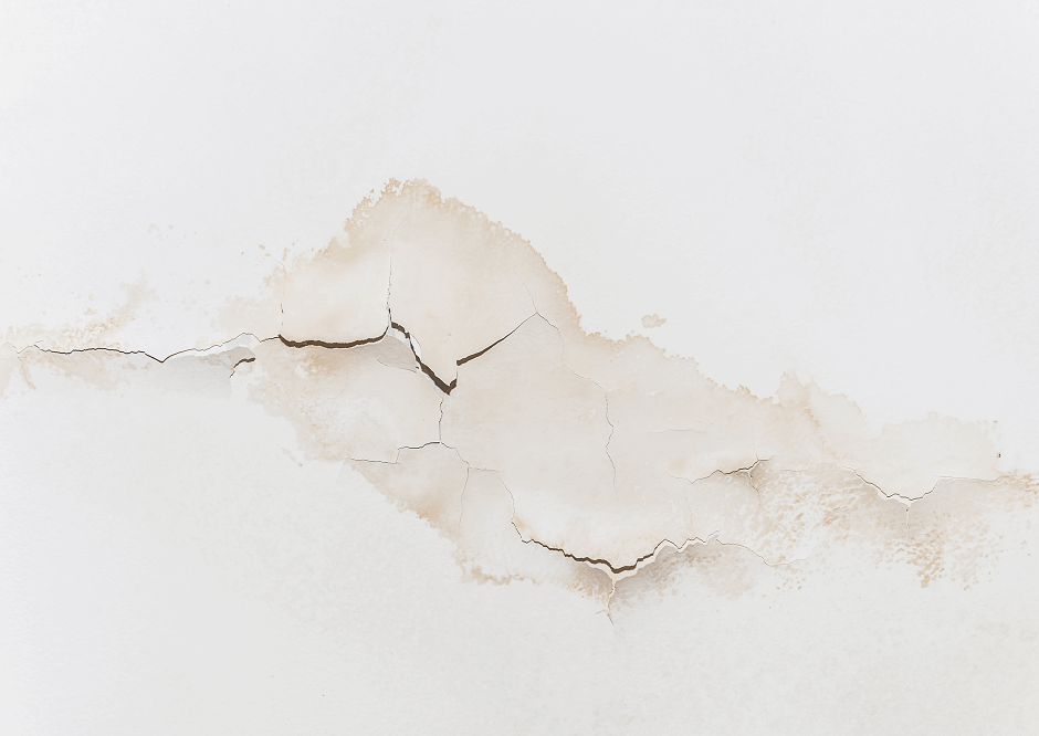 Water Damage Roof