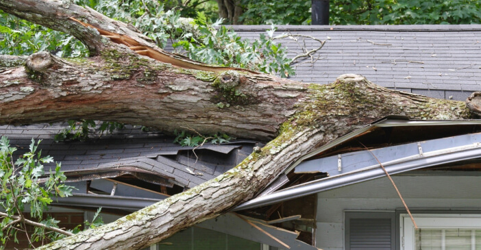 Guarding Against Debris Damage